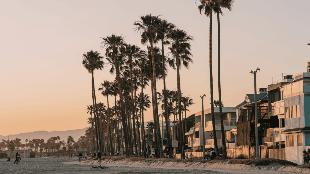 Meet You On The Mat Tall palm trees line a sandy beach next to modern buildings at sunset, with people walking and cycling along the path. Pilates & Dance