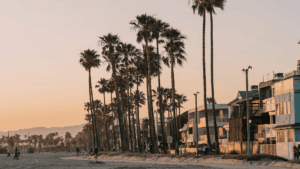 Meet You On The Mat Tall palm trees line a sandy beach next to modern buildings at sunset, with people walking and cycling along the path. Pilates & Dance